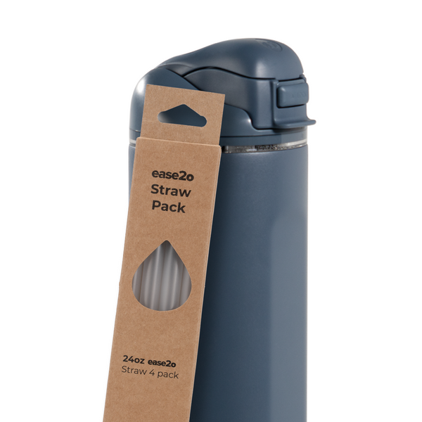 Ease2o Straws 4 Pack 24oz g92